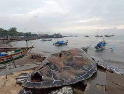 Disperkim Jabar Bantah Biaya Replika Penyu Gadobangkong Rp15,6 Miliar