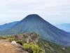 TNGGP Tertibkan 2.658 Pendaki Ilegal Selama Libur Panjang di Gunung Gede-Pangrango