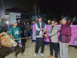 21 Ekor Sapi Qurban Dipotong dalam Gebyar Idul Adha 1446 H Kota Sukabumi