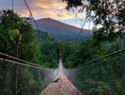 Libur Idul Adha, Ribuan Wisatawan Serbu Situ Gunung Suspension Bridge Sukabumi