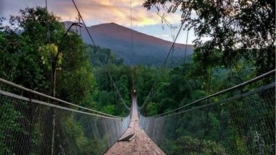 Libur Idul Adha, Ribuan Wisatawan Serbu Situ Gunung Suspension Bridge Sukabumi