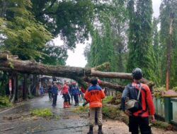 Waspada Bencana: BPBD Sukabumi Ingatkan Masyarakat akan Potensi Hujan Lebat