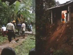 Cuaca Ekstrem di Cibadak Sukabumi Picu Pohon Tumbang dan Longsor, 4 Rumah Terancam