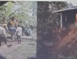 Cuaca Ekstrem di Cibadak Sukabumi Picu Pohon Tumbang dan Longsor, 4 Rumah Terancam