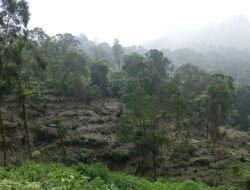 Fraksi Rakyat dan DPRD Kab Sukabumi Kritisi Pembalakan Liar di Tanah Enklave