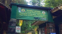 Mulai November 2025, Tarif Masuk Taman Nasional Gunung Halimun Salak Resmi Turun