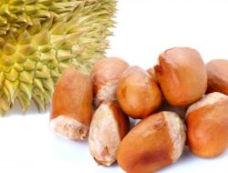 Aroma Durian Panikkan Gedung di Paris, Diduga Bocoran Gas